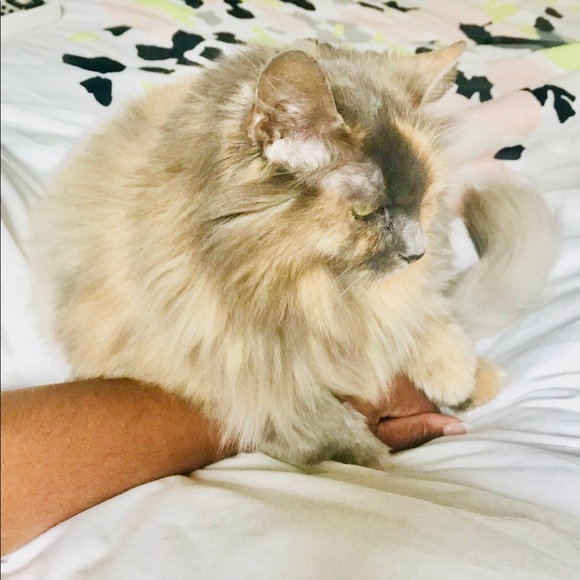 My Baby NOT FOR SALE - Picture 2 of 8